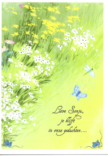 Scan