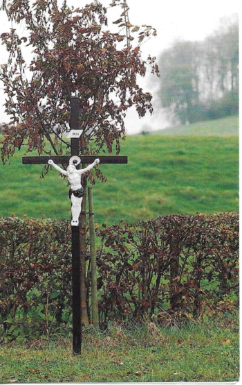 Scan