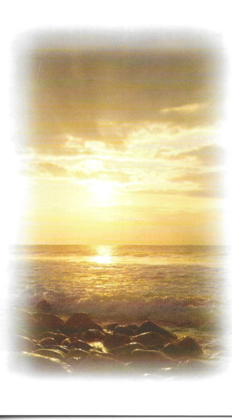 Scan