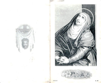 Scan