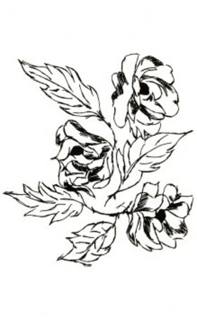 Scan