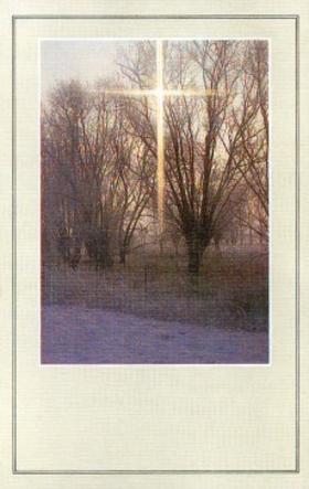 Scan