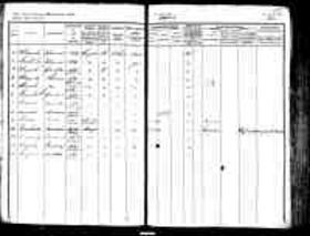 Scan